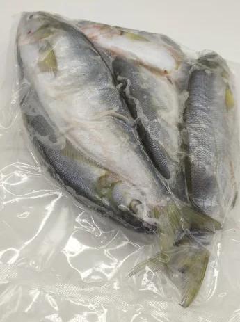 Фото Луфарь черноморский свежемороженый (19-23см)