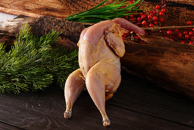 Превью Фазан Дикий