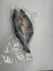 Превью Сельдь тихоокеанская жирная свежемороженая крупная