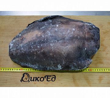 Фото Палтус тихоокеанский синекорый (3-5 кг)потрошеный без головы