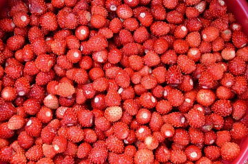 Фото Земляника лесная свежемороженая 80гр 