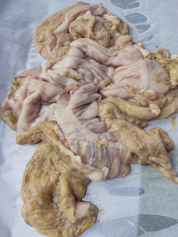 Фото Желудок марала очищенный(резанный)