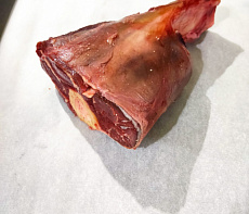 Голяшка лося на кости