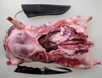 Фото Нутрия тушка (1,5-3кг)