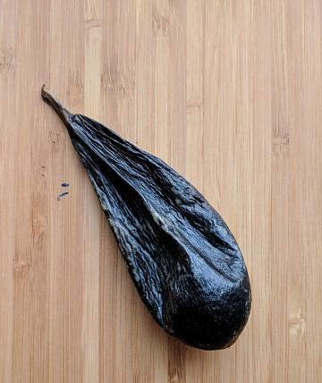 Фото Желчь медведя вяленая (110-130гр)