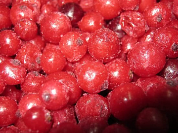 Фото Красная смородина быстрозамороженная 500 г УЦЕНКА 